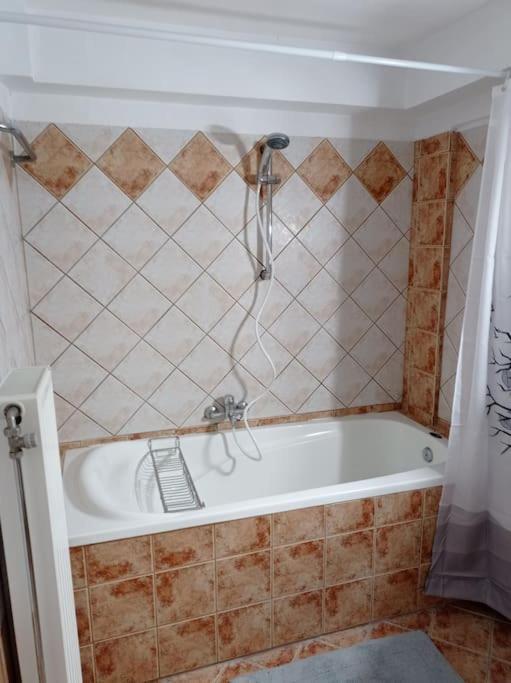 Trikala Alex House Apartment Exterior photo